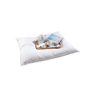 Downtown Company Slumber Pillow Down